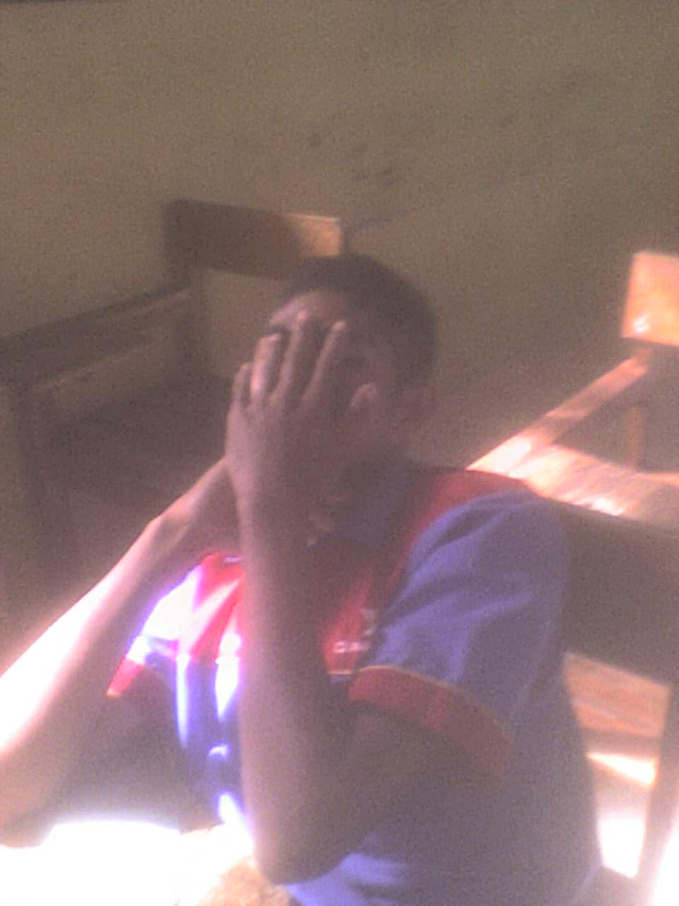 Osog1 1